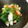 くまんぼう's cooksnap of when they made かまぼこと三つ葉の柚子胡椒和え.