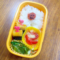♪あんな♪'s cooksnap of when they made 簡単！日の丸弁当.