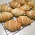 イノコ台所研究所's cooksnap of when they made ヨーグルトパン.