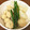 Aカエルくん's cooksnap of when they made 簡単！白だしだけで大根の煮物.