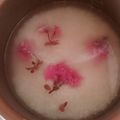 瀧澤井香賀子's cooksnap of when they made さくらごはん.