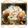 ＭＡＹＯＭＡＹＯ　's cooksnap of when they made 我が家の「切干大根の煮物」♪.