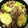 ちいはるたん's cooksnap of when they made キャベツとアサリの熱々だしスープ炒め.