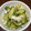 chokenneyo's cooksnap of when they made 簡単！白菜ときゅうりの浅漬.