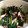 沙弥0523's cooksnap of when they made ほうれん草とひじきの中華お浸し☆.