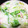 スヌーピーさっくー's cooksnap of when they made 無添加◎簡単　基本の白菜のクリーム煮.
