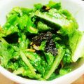ののっく's cooksnap of when they made レタス大量消費！辛くない韓国風サラダ.