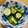 えま＊'s cooksnap of when they made 胡瓜の中華風浅漬け.