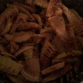 EDOMOCO's cooksnap of when they made 毎年春を感じるタケノコ鰹節！家の味付煮物.