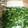 Jyohana's cooksnap of when they made ネギの保存(写真はわけぎです).