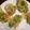 ちゃぎー's cooksnap of when they made そら豆と玉葱天ぷら.