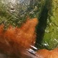 twinkles☆ｍ's cooksnap of when they made 厚揚げのひき肉詰め.