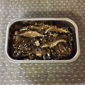 えじゃないか組's cooksnap of when they made 茎わかめの佃煮.