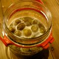 goma99's cooksnap of when they made 自家製酵母 梅.