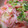 えいとさん's cooksnap of when they made じゃがぴー＆しらたきのタラマヨ和え.