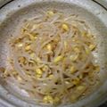 トモーピー's cooksnap of when they made お弁当のおかずに！豆もやしのごま和え.