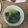 ruru627's cooksnap of when they made 韓国風★牛肉とワカメのスープ.