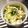 シトゲ's cooksnap of when they made 春キャベツの♫♫シャキシャキサラダ♬♬.