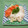 *ひろみ*'s cooksnap of when they made 新タマネギの冷しゃぶサラダ.