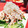 だむろく's cooksnap of when they made さっぱり大好き♡みぞれ梅ささみ〜しそ風味.