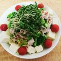 ☆yamanou★'s cooksnap of when they made 豆腐入り豚☆冷しゃぶサラダ.