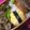 まじゅじゅ's cooksnap of when they made お弁当に　ばくだんたまご*.
