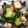クックDAPWAN☆'s cooksnap of when they made タコとキュウリの柚子胡椒風味.