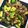 クックUYVWYQ☆'s cooksnap of when they made 豚肉とアボカドのオイスターソース炒め.