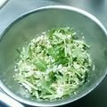 なおころピッコロ's cooksnap of when they made 豆腐と大根おろしの手軽白和え.