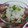 まいめる0720's cooksnap of when they made 塩きのこのみぞれ和え.