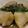 個覧夢's cooksnap of when they made じゃがいもとわかめの煮物.