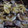 おたあ3839's cooksnap of when they made 激簡単☆10分で美味しい☆牛丼☆.