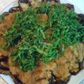 KANA☆KO's cooksnap of when they made めんつゆで簡単！茄子焼き香味野菜のっけ.