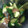 クックZ8J4H4☆'s cooksnap of when they made 箸休めに！きゅうりの梅和え.