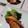 ワイン好きおはな's cooksnap of when they made 簡単おいしい！ブリの照り焼き.