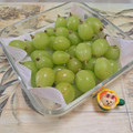 みかかめ's cooksnap of when they made 簡単‼︎ぶどうの保存方法.
