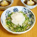 つちかな's cooksnap of when they made 酒つま　大根おろしでひんやりツマミ！.