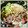 海理ママ's cooksnap of when they made すき焼きのつゆ.