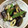 早起きまま's cooksnap of when they made なす＆ししとう＆ちくわの味噌炒め.