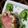 food town's cooksnap of when they made 【おつまみ】☆お豆腐と竹輪のケーキ☆.