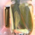 イタリアン マンマ's cooksnap of when they made シンプルピクルス.