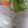 ここ☆きら's cooksnap of when they made 塩チャーシュー.