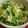 林檎ﾀﾝ's cooksnap of when they made えのきとかいわれの簡単一品料理.