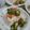 cook20hy's cooksnap of when they made 冷やっこ～オクラのなめたけ和え～.