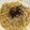 28ryo's cooksnap of when they made たっぷり大根おろしとツナのスパゲッティ.