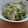 milkii♪'s cooksnap of when they made 白石温麺で水菜と梅干のパスタ風.