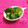 ミナいちご's cooksnap of when they made たたききゅうりの梅しそ和え♡.