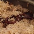 クックVI6LOP☆'s cooksnap of when they made イカの缶詰で☆炊き込みご飯.
