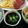 2児ママ's cooksnap of when they made オクラもずく.