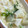 テトラ☆ポット's cooksnap of when they made 京都おばんざいかぶと豆腐のふわとろ卵とじ.